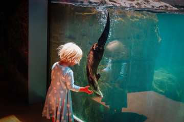 little girl looking at otter in large aquarium