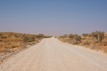 Kalahari Track