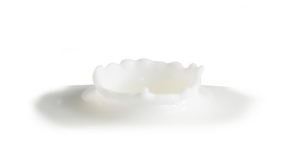 Fototapeta na wymiar white milk splash isolated white background 