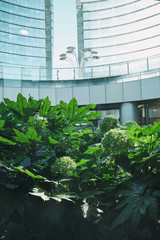 Modern building covered green plant Ecology and green living in city, urban environment concept - Piazza Gae Aulenti. Milan.