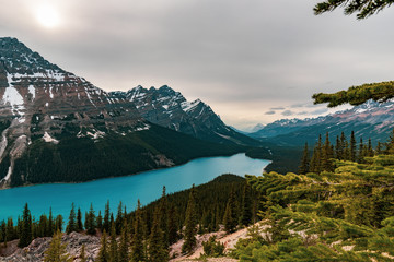 Peyto Lake