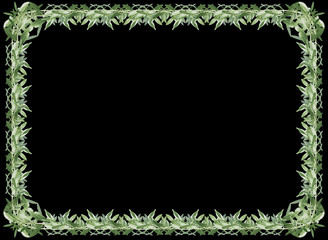 frame of green leaves