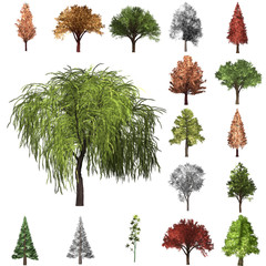 Fototapeta premium Tree correction design set. 3D Illustration. White background isolate. Nature and Gardens design.