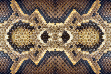 Python skin pattern for background.