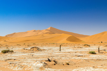 Sand dunes, Sossusvlei, Namib Naukluft Park, Namibia