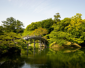 Fototapeta na wymiar Pont au dessus d'un étang dans un jardin japonais