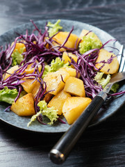 Fototapeta na wymiar Warm Potato Salad with Red Cabbage