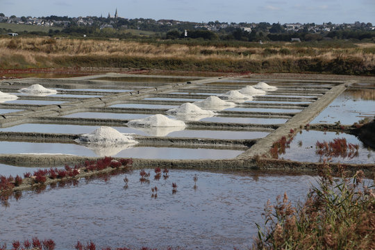 Salzgewinnung aus Meerwasser bei Guerande, Bretagne