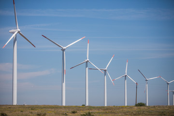 Wind mills on a meadow