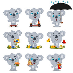 Set of funny koala bears in summer meadow and with fast food, isolated on white background
