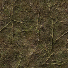 forest floor twigs and grass