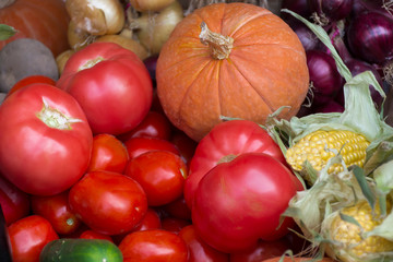 farmer showcase with pumpkin, corn, tomatoes and other vegetables	