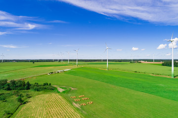 Obraz premium Wind turbines in open green field with blue sky background. 