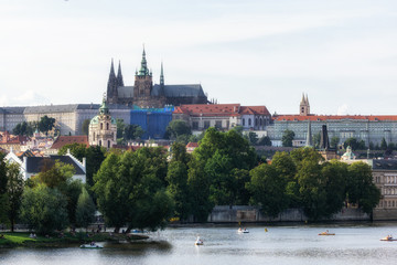Fototapeta premium prague castle kampa park