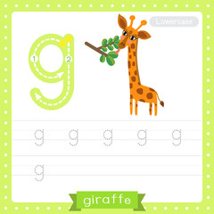 Letter G lowercase tracing practice worksheet. Giraffe eating leaves