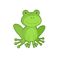 Vector illustration of green frog
