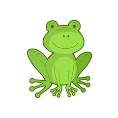 Fotobehang Vector illustration of green frog © Anastasia Popova