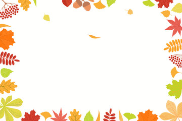 Hand drawn frame of colorful autumn leaves on white background. Rowan, maple, oak, chestnut, birch, ginkgo, momiji. Vector illustration. Flat style design. Concept, element season poster, banner.