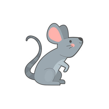 Vector illustration of gray mouse