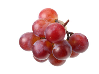 blue grapes berries isolated on white background. macro