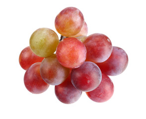 blue grapes berries isolated on white background. macro