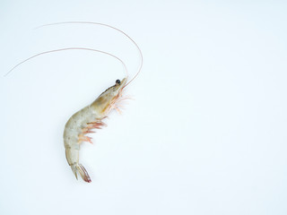 Fresh shrimp on white background