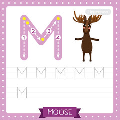 Letter M uppercase tracing practice worksheet. Moose standing on two legs