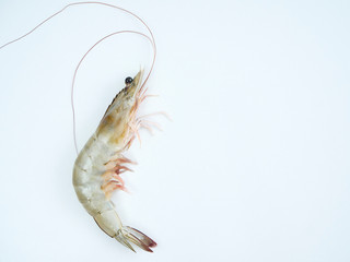 Fresh shrimp on white background