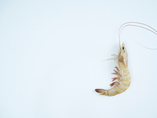Fresh shrimp on white background