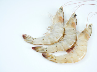 Fresh shrimp on white background