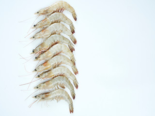 Fresh shrimp on white background