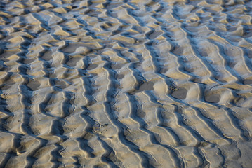 Fototapeta na wymiar Low tide in the Lower Saxon Wadden, Langeoog