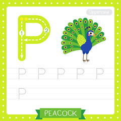 Letter P uppercase tracing practice worksheet. Peacock