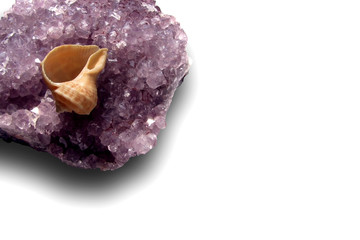 Shell on purple amethyst on a white background