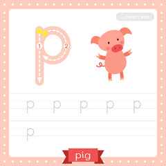 Letter P lowercase tracing practice worksheet. Standing Pig