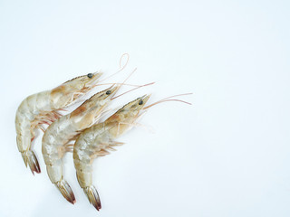Fresh shrimp on white background