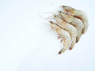 Fresh shrimp on white background