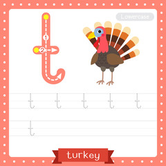 Letter T lowercase tracing practice worksheet. Turkey bird