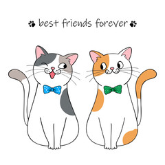 Best friends forever. Couple of cute cartoon cats. Hand drawn illustration