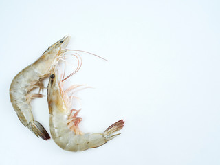 Fresh shrimp on white background