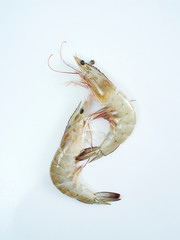 Fresh shrimp on white background