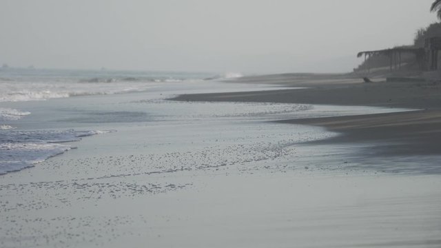 Beach in the early morning with breakers and sound. Mancora, Peru, South America. 4K Video with sound