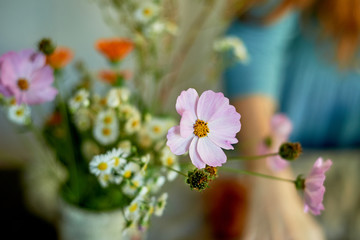 Bouquet of wild flowers. Pink delicate petals. macro. Simple lifestyle.