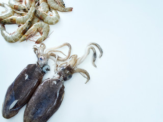 Fototapeta premium Squid and shrimp, fresh seafood