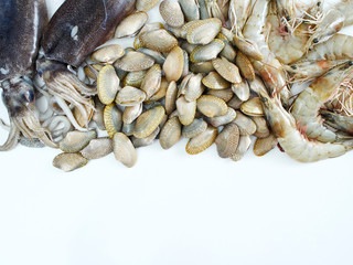 Shellfish, squid and fresh shrimp on white background