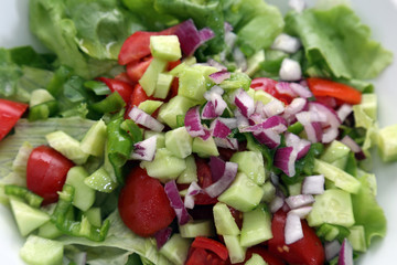 Greek salad with lettuce, tomatoes, cucumbers, peppers, red onion, oregano and feta