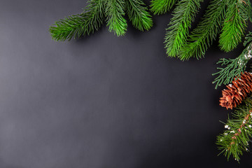 Christmas decoration black background with green pine branches. Copy space. Top view.