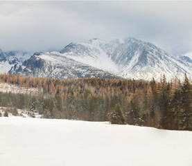 Fototapeta na wymiar Snow-covered mountains and pine forest, winter landspape