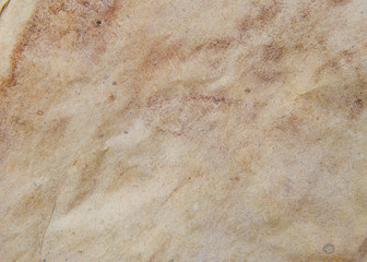 Textured paper background