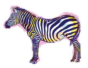 Obraz na płótnie Canvas Zebra pattern markers. Pop Art. Bright print, colored spots. Freehand drawing. Zebra in full growth.